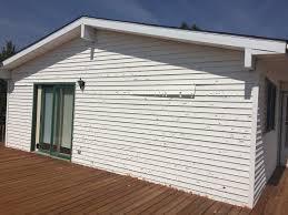 Best Steel Siding Installation  in Headland, AL